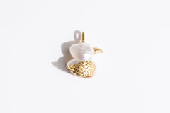 Huey Duck Charm