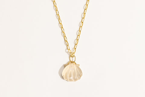 Seashell Small