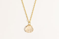 Seashell Small