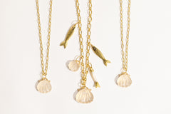 Seashell Medium