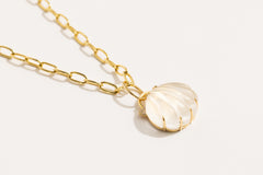 Seashell Large