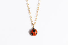 Ladybug Charms