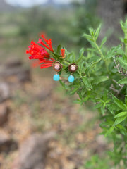 Phoebe Earring, Amanzonite