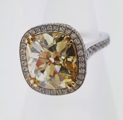 Engagement Rings and Wedding Bands